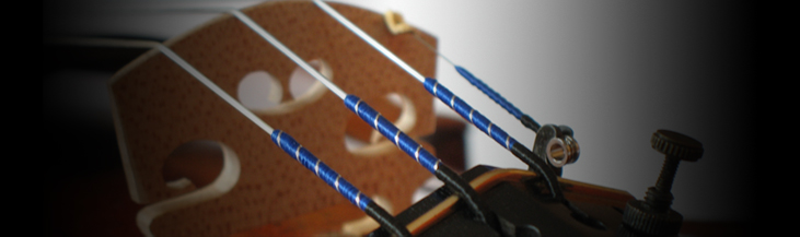 Violin strings