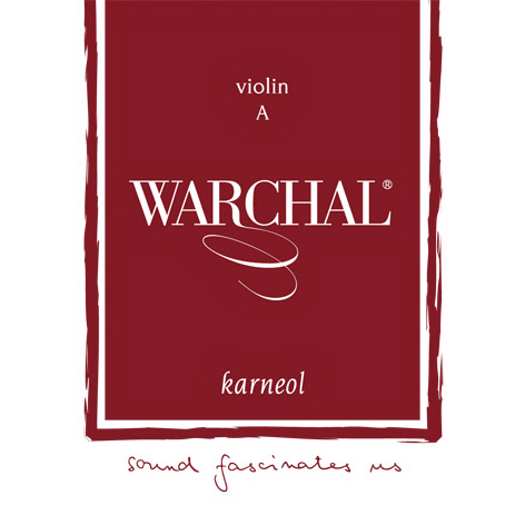 WARCHAL Ametyst Professional Violin Strings SET NEW  